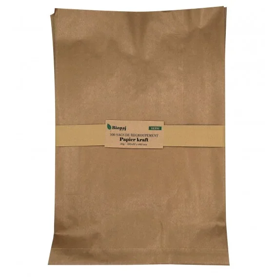100 SACS KRAFT 60G 300 X 440 MM SOUFFLET DE 80 MM