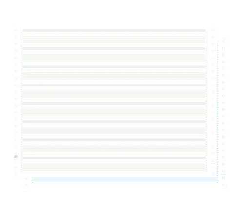 1000 feuilles de listing autocopiant zoné vert/bleu 380×11 2plis Bandes Caroll Non Détachables Couleur Vert