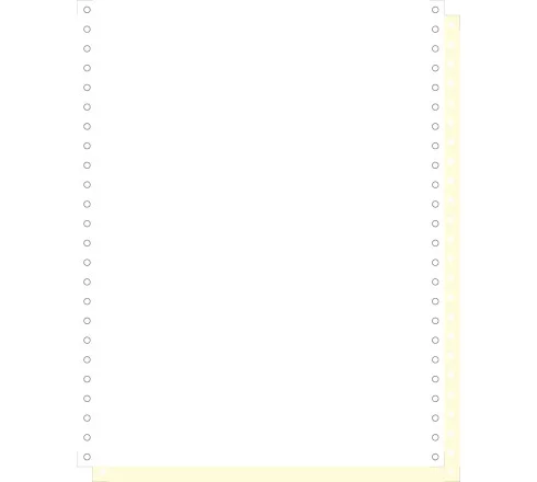 1000 feuilles de listing autocopiantes blanc/jaune 240×12 2plis Bandes Caroll Détachables Couleur Blanc