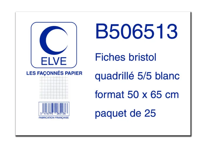 ELVE Fiches bristol quadrillées 5/5, 500 x 650 mm, 25 fiches
